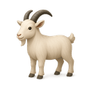 Goat