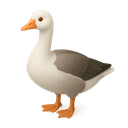 鵝