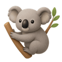 Koala
